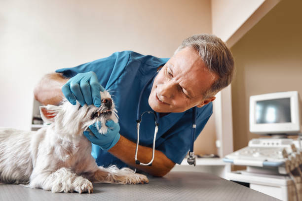 Best Emergency Tooth Extraction in Fort Oglethorpe, GA